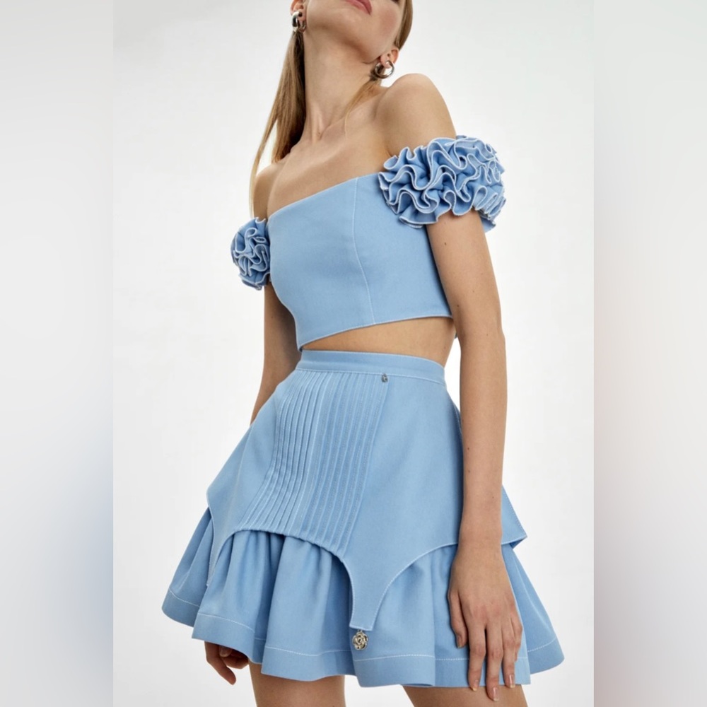 Skirt , brand NEW, never worn, size Small